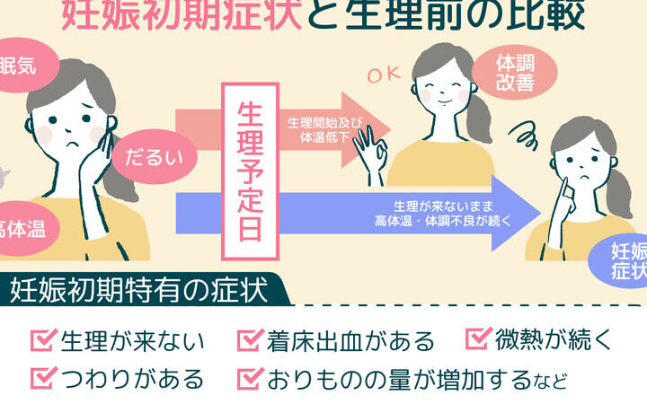 妊娠とPMSの関係についての解説