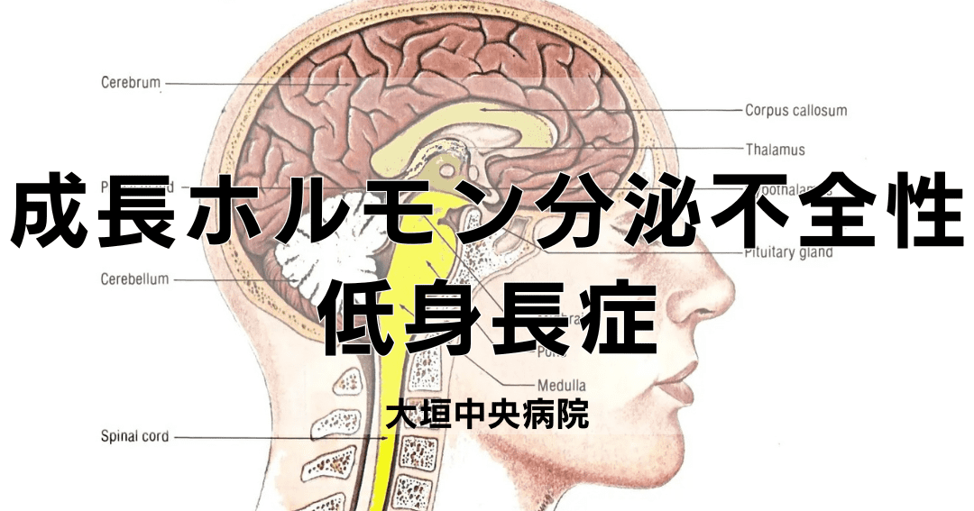 成長ホルモン分泌不全性低身長症の原因と治療法
